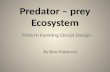 Circuit Design Presentation- Predator Prey