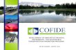 “Desarrollo de instrumentos financieros innovadores:  Programa de Promoción de Transporte Sostenible” - Carlos Paredes, Cofide, Perú