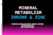 Mineral metabolism (iodine & zinc) -Biochemistry