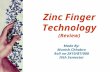Zinc finger technology