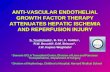 ANTI-VASCULAR ENDOTHELIAL GROWTH FACTOR THERAPY ATTENUATES ...