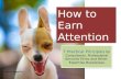 How to Earn Attention: 7 Practical Principles for Consultants, Professional Services Firms and Other  Expertise Businesses
