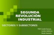 segunda revolucion industrial- sectores