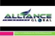 What Are The Products Of Alliance In Motion Global?