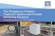 The Phosphorus Problem: Treatment Options and Process Monitoring Solutions | YSI
