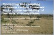 Modelling the coupling between carbon turnover and climate variability of terrestrial ecosystems.