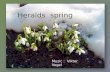 Heralds  spring