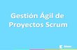 Gestión Ágil de Proyectos Scrum - Rosario - Julio-2010