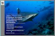 Pengelolaan hiu global. Peran Indonesia dalam pengelolaan hiu berkelanjutan