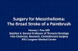The Role of Surgery in Malignant Pleural Mesothelioma | Mesothelioma Applied Research Foundation