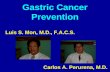 Gastric Cancer Prevention