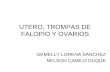 Exposicion Utero, Trompas Y Ovarios