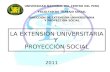 Extension universitaria y proyeccion social