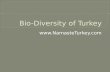 Bio Diversity of Turkey