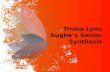 Trisha Lynn Aughe’s Senior Synthesis
