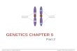 Genetics chapter 5 part 2(1)