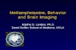 Methamphetamine, Behavior and Brain Imaging - UCLA Integrated ...