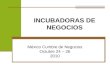 Presentacion incubadora de empresas mexico numbre de negocios 2 (3)