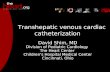 Transhepatic venous cardiac catheterization David Shim, MD