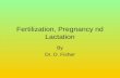 12.fertilization pregnancy and_lactation