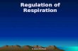 Regulation of respiration, mmmp