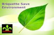 Briquette save environment