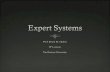 Expert System Seminar