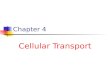 Chap4 cellular transport 3