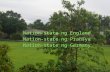 Pagkakatatag Ng Mga Nation States