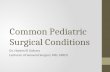 Common pediatric surgical conditions 3 Dr Hatem El Gohary