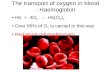 The transport of oxygen in blood