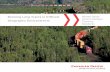 INTERNATIONAL CASE STUDY: Improving the operation of extra-long freight trains in difficult geographical environments