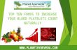 Top 10 foods to increase your blood platelets count naturally