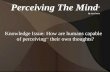 Copy perceiving the mind - to k presentation