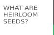 What are Heirloom Seeds?