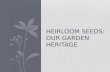 Heirloom Seeds: Our Garden Heritage