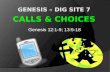 Genesis Dig Site 8