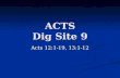 Acts Dig Site 9