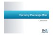 Currency Exchange Risk