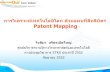 Patent Mapping