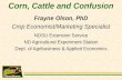 Corn cattle-confusion.ext conf.11-07_12.final