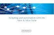 Scripting and automation with the Men & Mice Suite