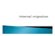 Internal  Migration  Online