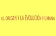 EL ORIGEN Y LA EVOLUCION HUMANA