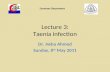 Taenia infection   zoonoses