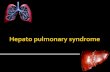 Hepato pulmonary syndrome