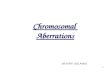 4 chromosomal  aberrations ks