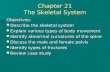 Chapter 21 Skeletal