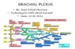 Anatomy of Brachial Plexus (by Murtaza Syed AKUH Karachi)