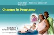Changes in pregnancy v7 feb 22
